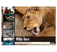 Wilde Tiere - Die schönsten Portraits (Tischkalender 2026 DIN A5 quer), CALVENDO Monatskalender: Die schönsten Tierportaits für das ganze Jahr