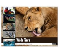 Wilde Tiere - Die schönsten Portraits (Wandkalender 2026 DIN A3 quer), CALVENDO Monatskalender: Die schönsten Tierportaits für das ganze Jahr