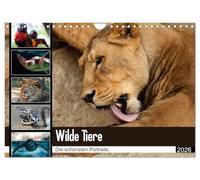 Wilde Tiere - Die schönsten Portraits (Wandkalender 2026 DIN A4 quer), CALVENDO Monatskalender: Die schönsten Tierportaits für das ganze Jahr