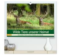 Wilde Tiere unserer Heimat (hochwertiger Premium Wandkalender 2026 DIN A2 quer), Kunstdruck in Hochglanz: Die wilden Tiere in Deutschlands Wäldern, an der Küste und in unserem Kulturland