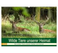 Wilde Tiere unserer Heimat (Wandkalender 2026 DIN A2 quer), CALVENDO Monatskalender: Die wilden Tiere in Deutschlands Wäldern, an der Küste und in unserem Kulturland