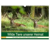 Wilde Tiere unserer Heimat (Wandkalender 2026 DIN A3 quer), CALVENDO Monatskalender: Die wilden Tiere in Deutschlands Wäldern, an der Küste und in unserem Kulturland