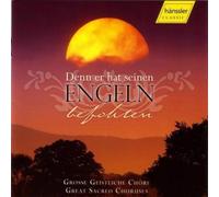 Werner Wilde – Denn Er Hat Seinen Engeln Befohlen – CD – Import