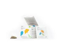 Wilden Herbals Remedium n.5 Focus - Tisane pour la Concentration - 9 Herbes Rafraîchissantes - pour Travailler, Etudier, Voyager - 10 Sachets