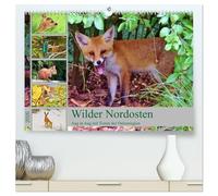 Wilder Nordosten - Aug in Aug mit Tieren der Ostseeregion (hochwertiger Premium Wandkalender 2026 DIN A2 quer), Kunstdruck in Hochglanz: Tiere und Vögel an der Ostseeküste