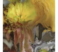 Wilderness Within You