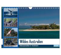 Wildes Australien - Naturparadies 5. Kontinent (Wandkalender 2026 DIN A4 quer), CALVENDO Monatskalender: Die Ostküste Australiens bietet eine einmalige Fauna und Flora.