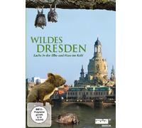 Wildes Dresden - Lachs in der Elbe und Hase im Kohl