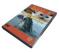 Wildest Arctic Antarctica [Edizione: Regno Unito] [Import]