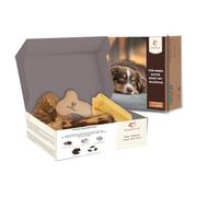 Wildfang Paket Willkommen Jungspund | Kit de démarrage pour chiots | Pack d'essai | Racine à mâcher en bruyère | Os en cuir | Bâton à mâcher en bois d'olivier | Kit de dégustation de fromage dur pour