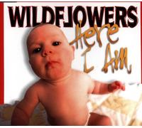 Wildflowers - Here I am [Import]