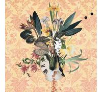 Kurt Elling – Wildflowers Vol. 3 – CD