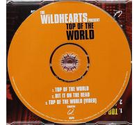 Wildhearts - Top of The World 2