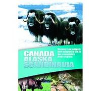 Wildlife - Canada / Alaska / Scandinavia