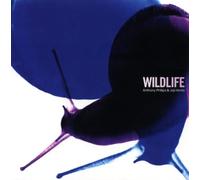 Anthony Phillips & Joji Hirota – Wildlife – CD – édition étendue Digipak