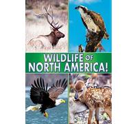 Wildlife of North America