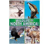 Wildlife Of North America [Dvd]