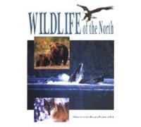 Wildlife Of The North