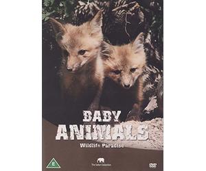 Wildlife Paradise - Wildlife Paradise - Baby Animals [Import anglais]