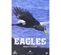 Wildlife Paradise - Wildlife Paradise - Eagles [Import anglais]