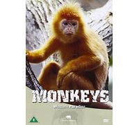 Wildlife Paradise - Wildlife Paradise - Monkeys [Import anglais]