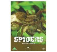 Wildlife Paradise - Wildlife Paradise - Spiders (Reptiles) [Import anglais]
