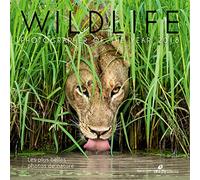 Wildlife Photographer of the year: Les plus belles photos de nature