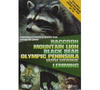 Wildlife - Raccoon/Mountain Lion/Black Bear [Import anglais]
