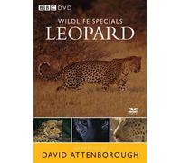 Wildlife Specials: Leopard