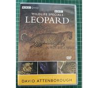 Wildlife Specials Leopard Bbc Dvd Documentaire Léopard