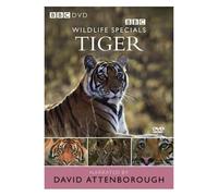 Wildlife Specials Tiger David Attenborough Narrates This Doc Dvd