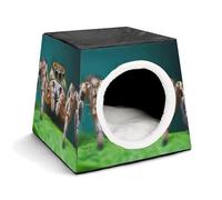 Wildlife Spider Cabane confortable pour animaux de compagnie Capsule d'espace chaude et douce Maison pour animaux domestiques pour chats d'intérieur chiens de petite taille et animaux de taille