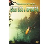 Wildlife Stories - The Whole Story: Beetles & Spiders