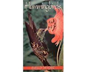 Wildlife Tales - Hummingbirds-Jewels of the for