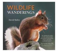 Wildlife Wanderings by David Bailey David Bailey (Auteur)