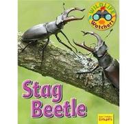 Wildlife Watchers Stag Beetle by Ruth Owen Ruth Owen (Auteur)