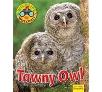 Wildlife Watchers Tawny Owl by Ruth Owen Ruth Owen (Auteur)