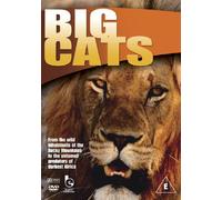Wildlife - Wildlife - Big Cats [Import anglais]