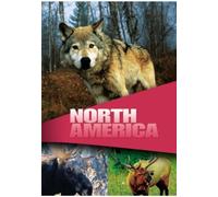 Wildlife - Wildlife - Secret Animals of North America [Import anglais]
