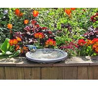 Wildlife World Aristotle Oasis Bain et Abreuvoir pour Oiseaux