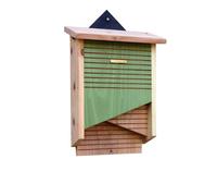 Wildlife World Boîte Conservation Chauve Souris