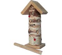 Wildlife World Tour de Coccinelle