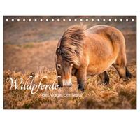 Wildperde - die Magie der Natur (Tischkalender 2026 DIN A5 quer), CALVENDO Monatskalender: Magie wilder Pferde