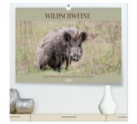 Wildschweine ganz nah an der Sau (Sus scrofa) von Tanja Riedel (hochwertiger Premium Wandkalender 2026 DIN A2 quer), Kunstdruck in Hochglanz: Echte ... - nah dran, eindrucksvoll und unverstellt