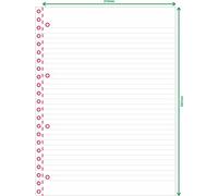 Wiler NB150R Cahier Maxi Spiralé A4 avec 4 Trous et Microperforation, 150 feuilles et 5 séparateurs en PP amovibles, lignes 8 mm