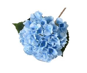 Wilitto Hortensia artificiel avec feuilles vertes - Décoration de tige réaliste - Pour mariage, maison, bureau, centre de table, arrangement floral - Bleu ciel