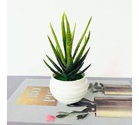 Wilitto Plantes artificielles, petites plantes artificielles en pot, pour bureau, étagère de salle de bain, décoration d'intérieur 3