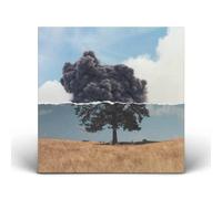 Wilkinson - Cognition [Vinyl] [Import]