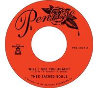 Will I See You Again? It's Our Love Vinyle