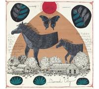 Will Johnson - Diamond City - Green [Vinyl Lp] Colored Vinyl, Green